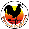 New Dawn Foundation photo