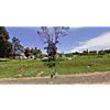 St Joseph's Primary School photo
