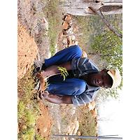The Wilderness Foundation image