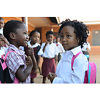 The Tiger Brands Foundation image