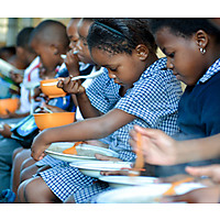 The Tiger Brands Foundation image