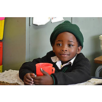 The Tiger Brands Foundation image
