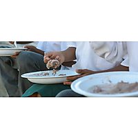 The Tiger Brands Foundation image