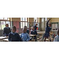 The Tiger Brands Foundation image