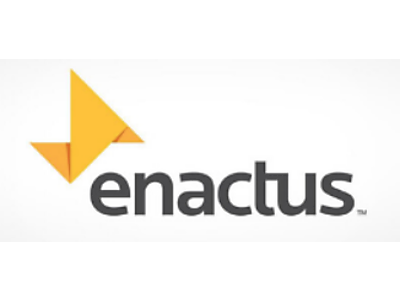 Screen Shot 2020-07-01 at 12.52.49.png - ENACTUS image