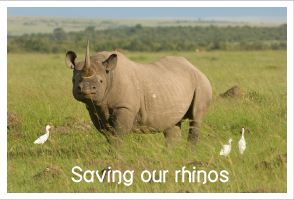 saving our rhino.png
