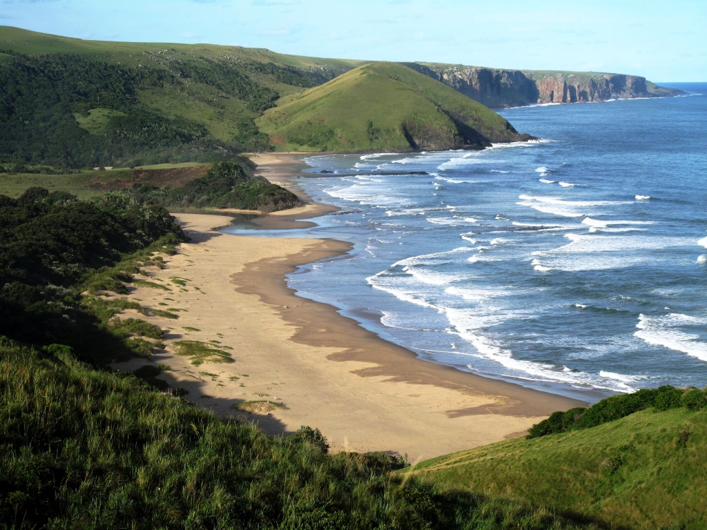 Wild-Coast-3.jpg