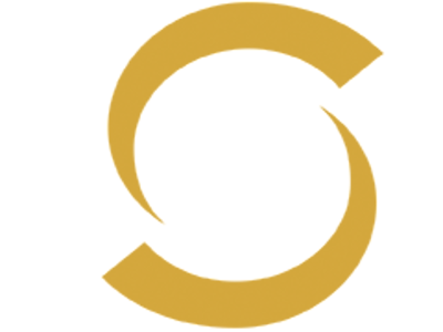 saide.png - SAIDE (SA Institute of Education) image