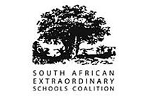 SAESC 3.JPG - BRIDGE - South African Extraordinary Schools Coalition image