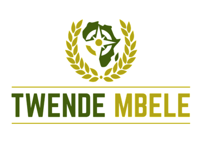 twendelogo.png - Twende Mbele image